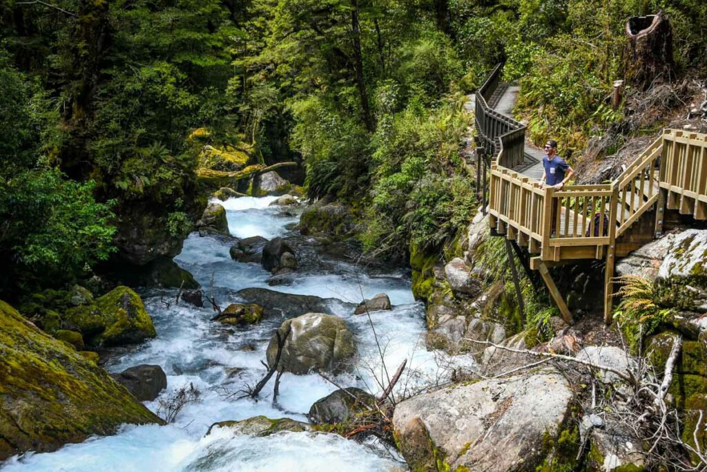 Lake Marian Falls Milford Road New Zealand