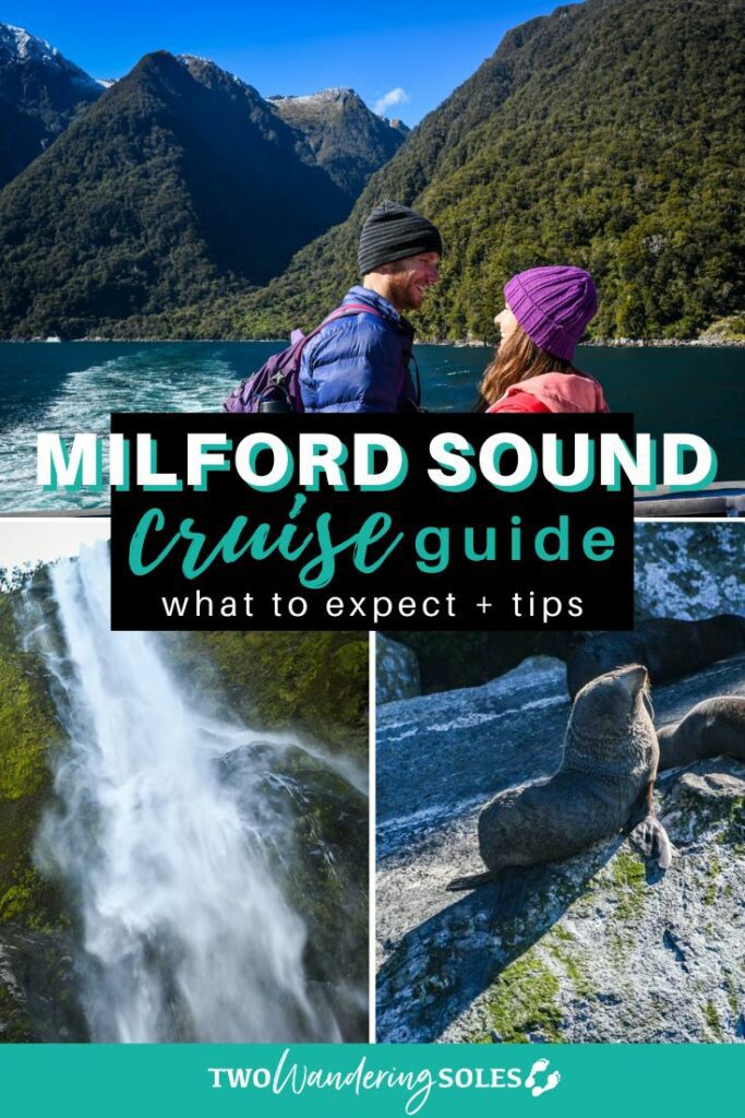 Milford Sound cruise Pinterest