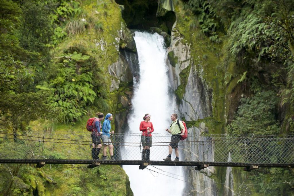 Milford Track Guided Hike & Nature Cruise (GYG)