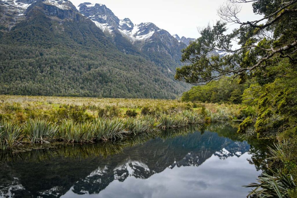 Mirror Lakes Milford Road New Zealand