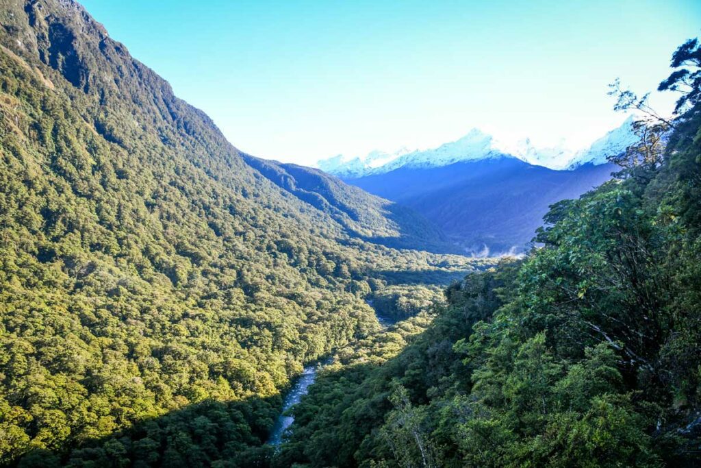 Pop's View Milford Road New Zealand