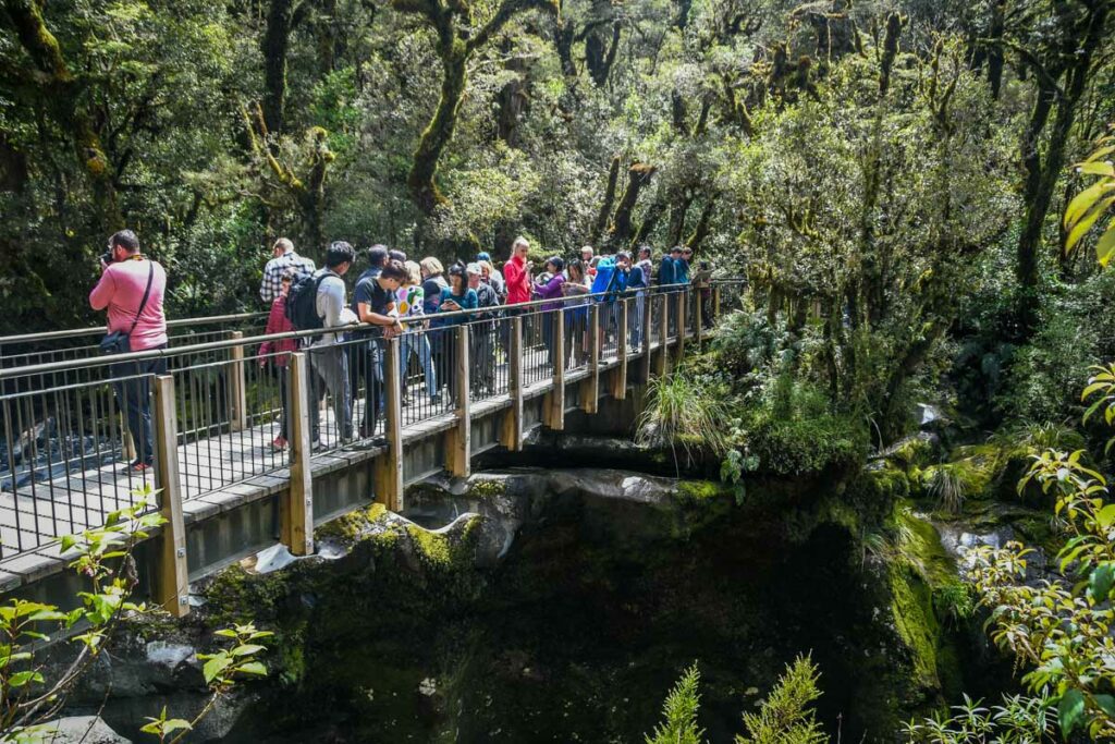 The Chasm bridge Milford Road New Zealand