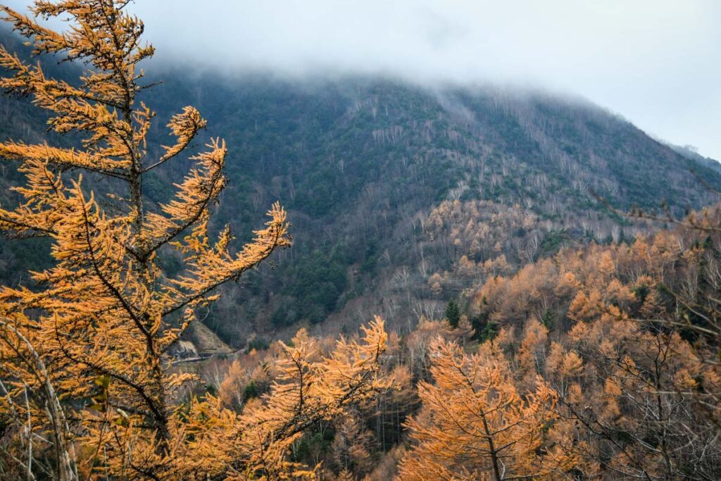 Autumn in Japan fall foliage