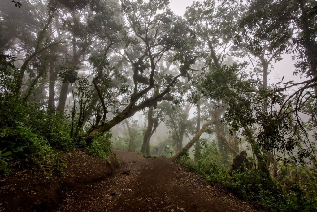 Hiking Acatenango Volcano Guatemala