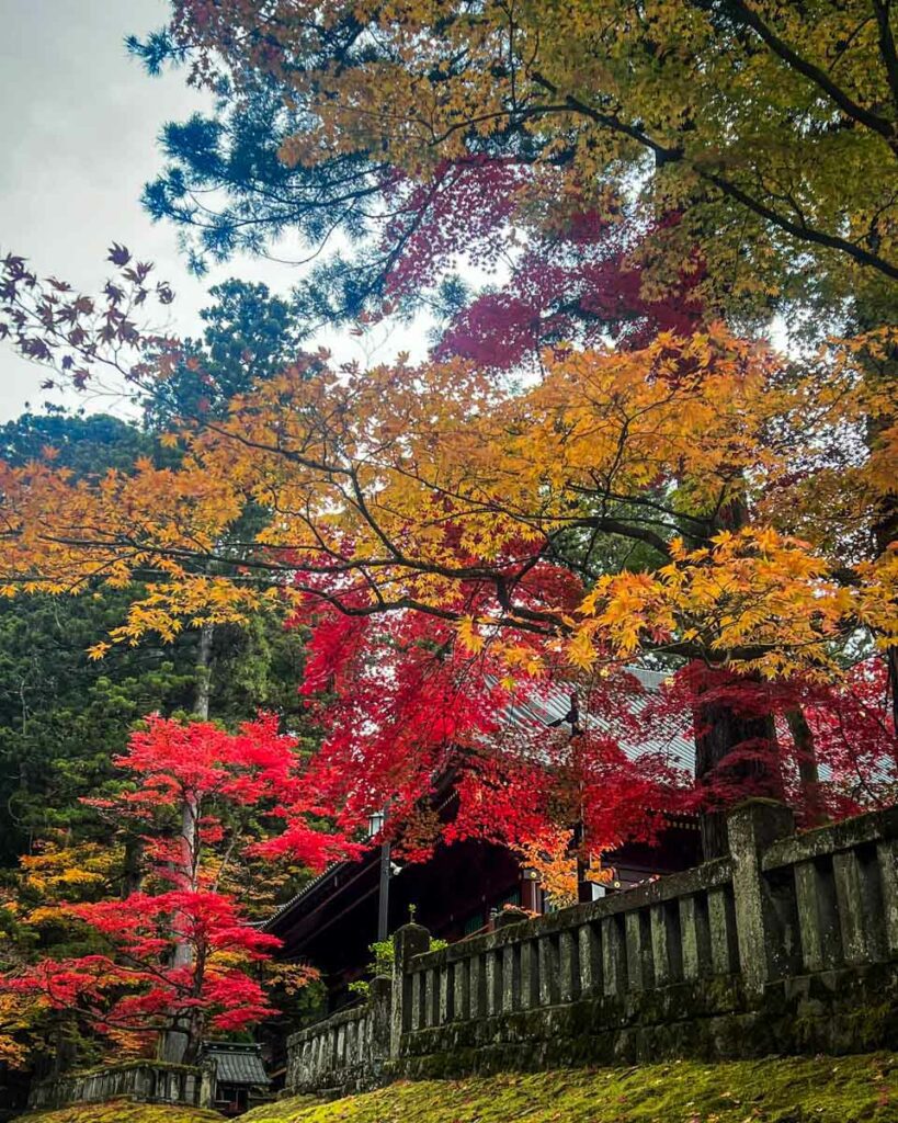 Autumn in Japan fall foliage