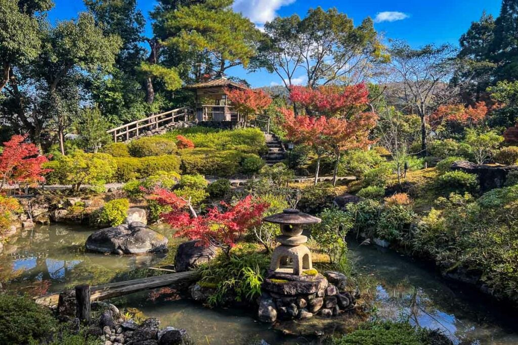 Nara Park Japan autumn