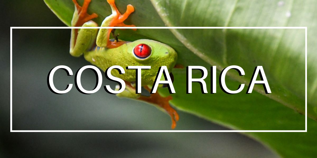 TWS Costa Rica Homepage destinations