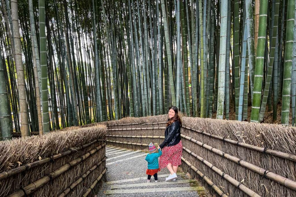 Adashino Nenbutsu-ji bamboo forest Kyoto Japan