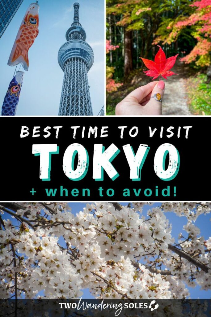 Best Time to Visit Tokyo (Pin D)