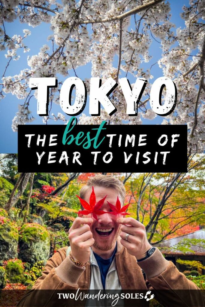 Best Time to Visit Tokyo (Pin E)
