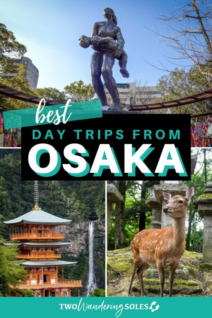 Day trips from Osaka (Pin E)