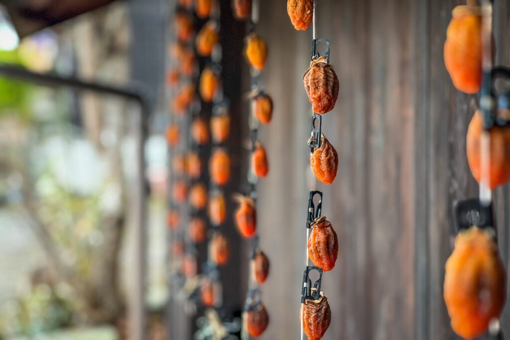 Persimmons, autumn in Japan