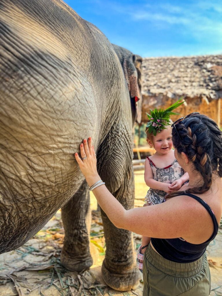 Chai Lai Orchid Elephant Sanctuary Chiang Mai Thailand