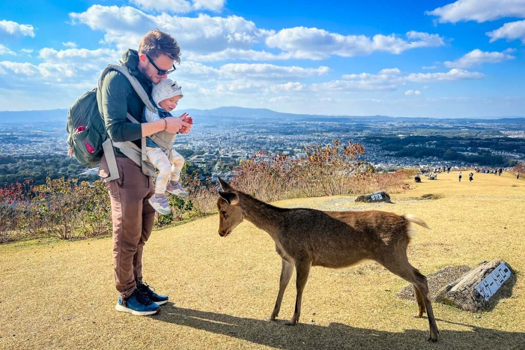 bowing deer in Nara Japan