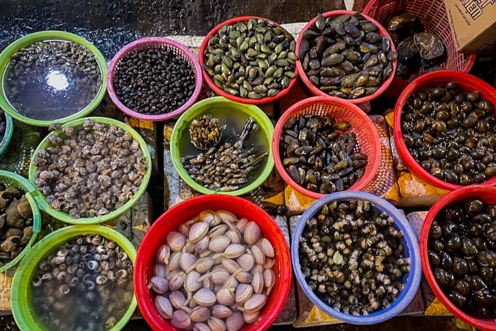 Vietnamese street food | Snails (Cat Roberts)