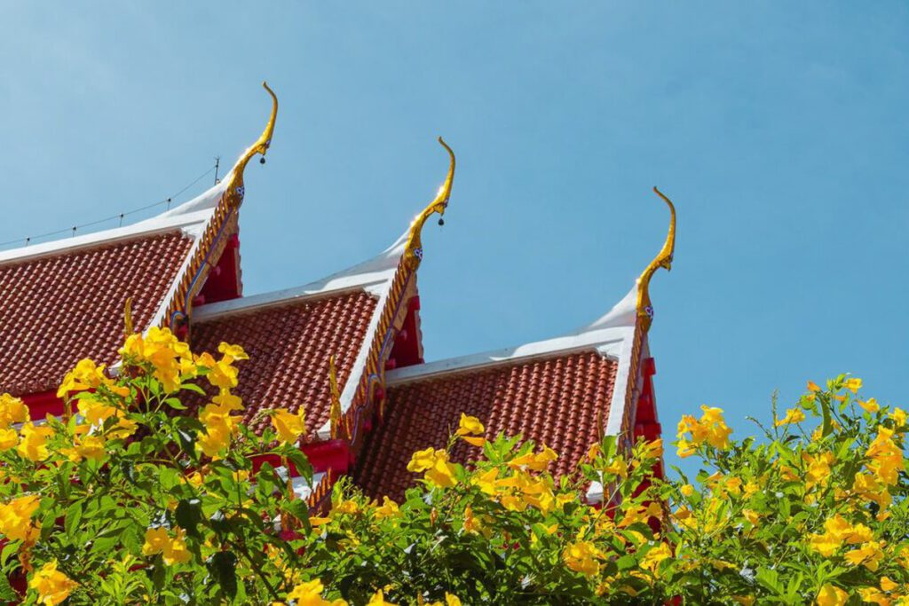 Wat Koh Tao Thailand