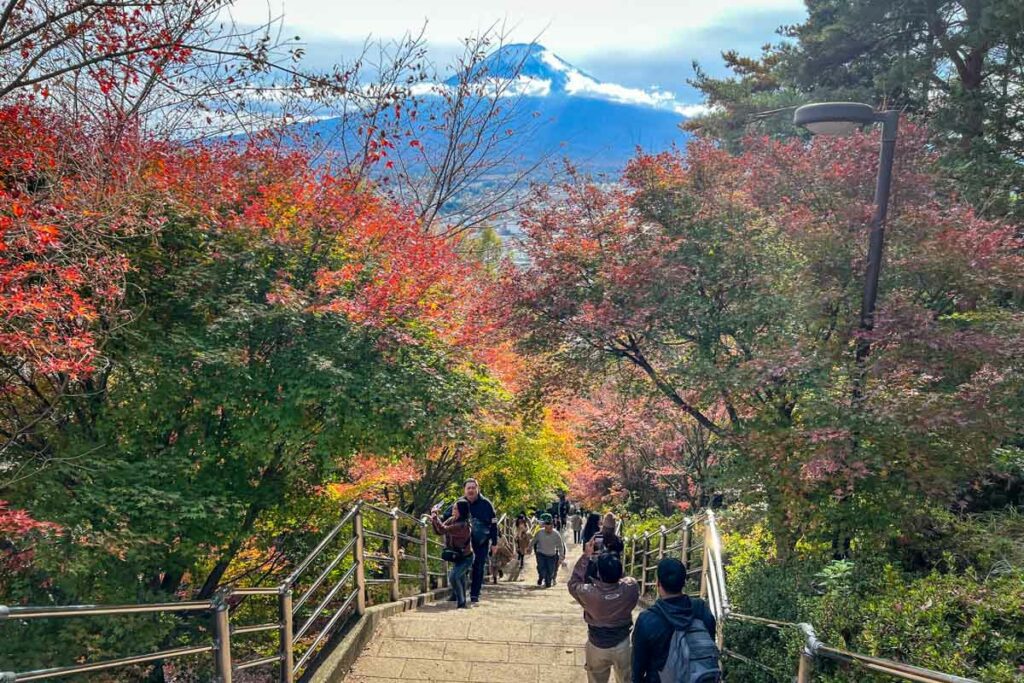 tour to mount fuji