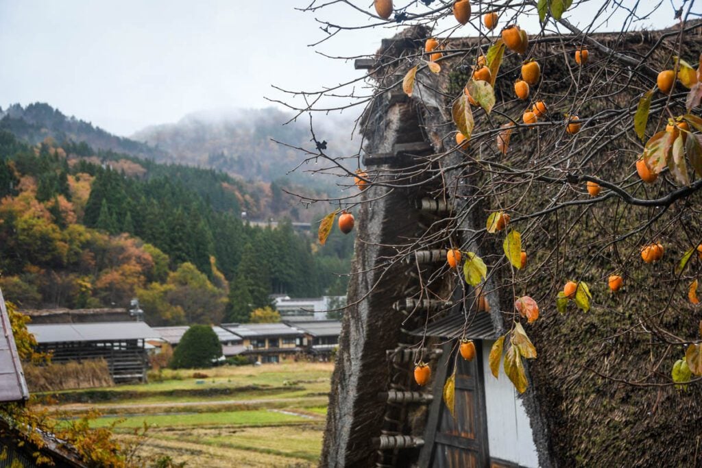 Shirakawa-go Japan