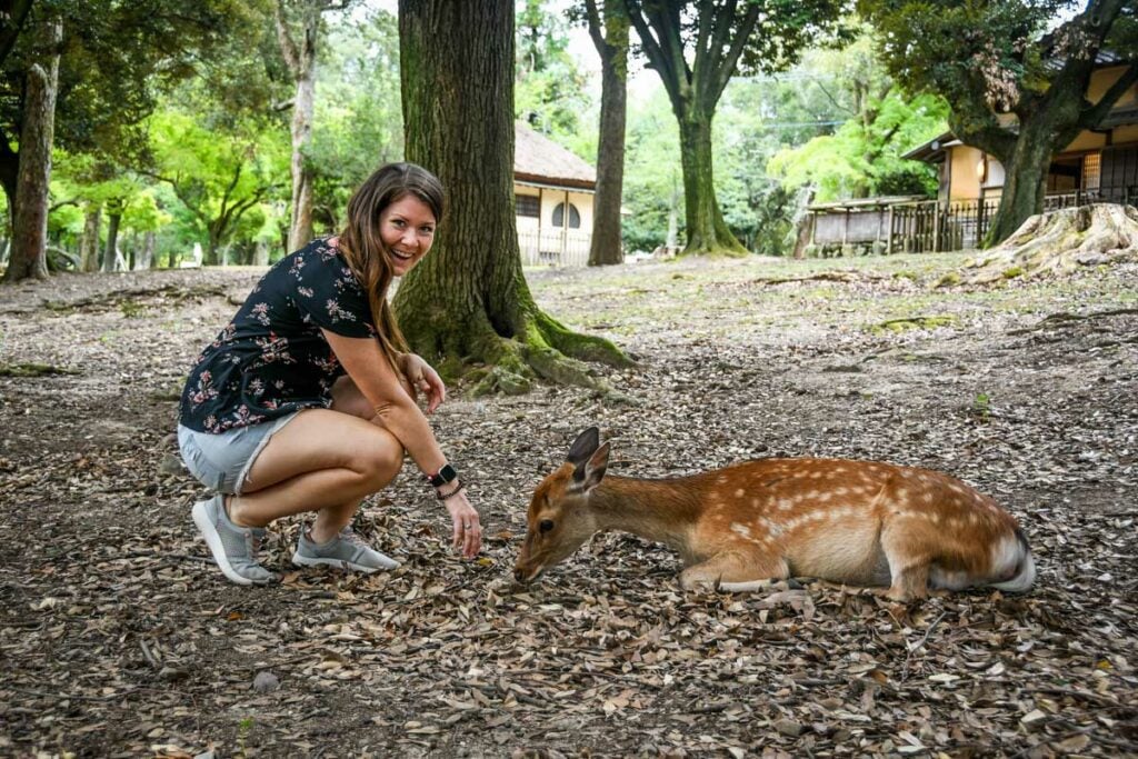 Nara Deer Park Japan