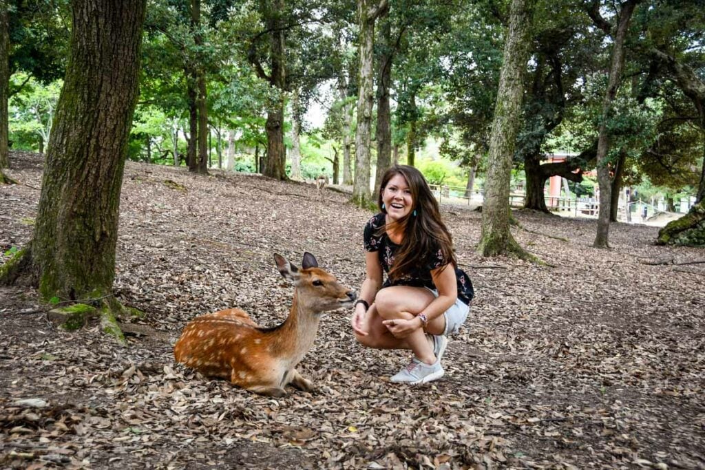 Nara Deer Park Japan