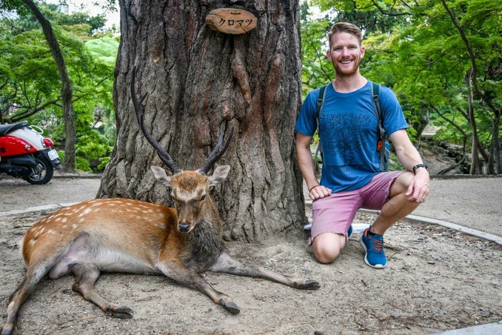 Nara Deer Park Japan