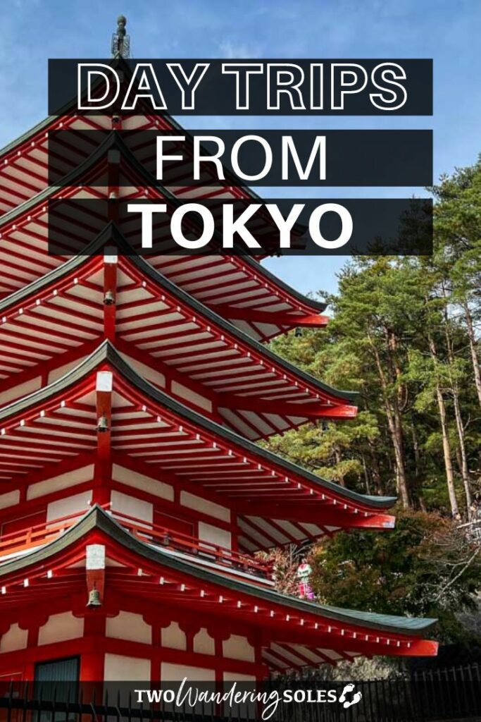 Day trips from Tokyo (Pin D)