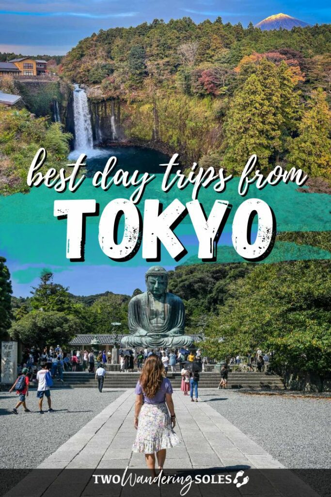 Day trips from Tokyo (Pin E)