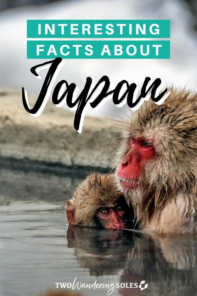 Facts about Japan | Two Wandering Soles