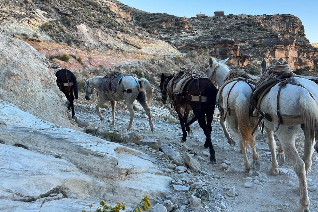 Havasu Falls Hike Havasupai Arizona