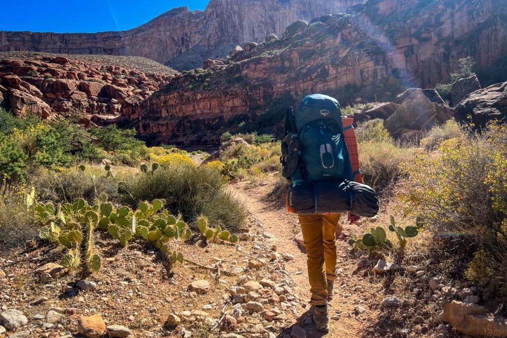 Havasu Falls Hike Havasupai Arizona