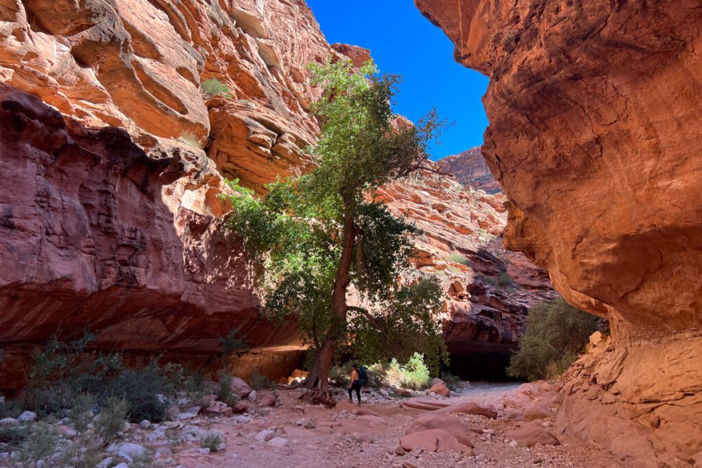 Havasu Falls Hike Havasupai Arizona