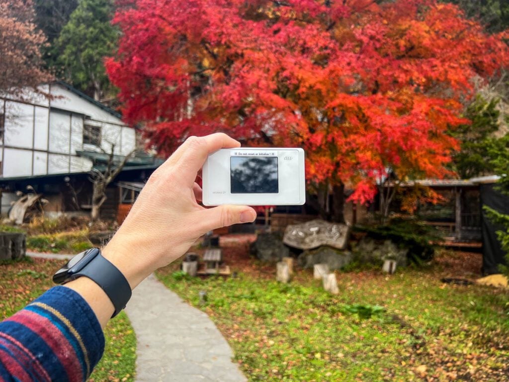 Japan Pocket WiFi Device and fall foliage