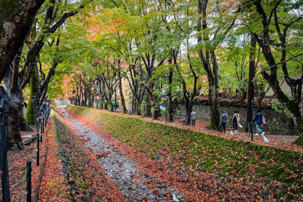 Momiji Corridor Lake Kawaguchi Japan