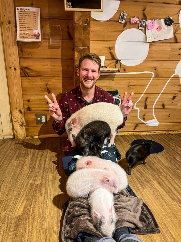 Pig cafe Japan