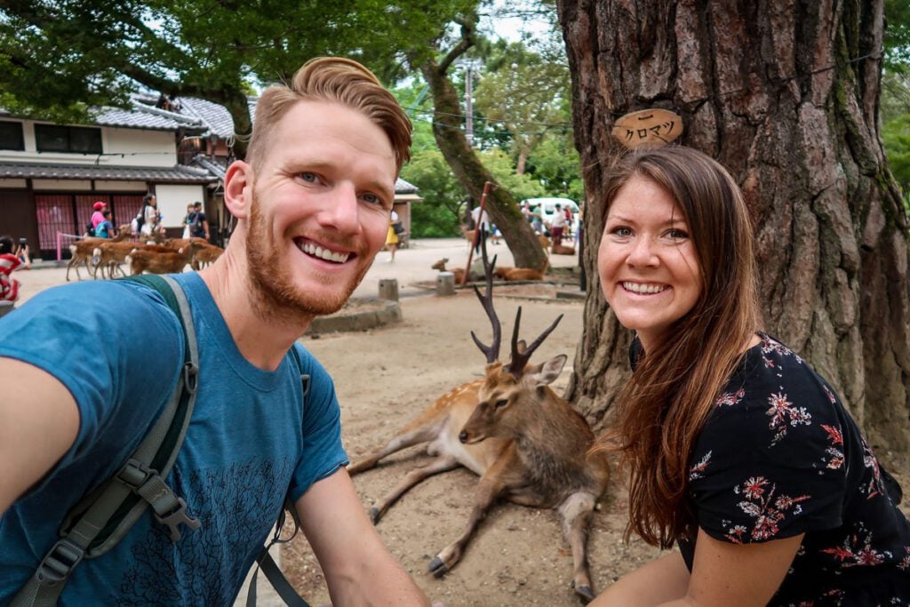 Nara deer park