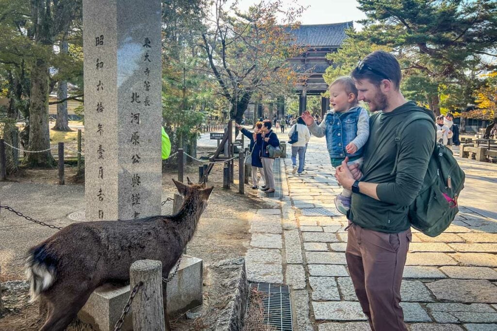 Nara Deer Park Japan