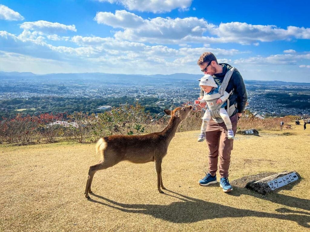 Mount Wakakusa Nara Japan