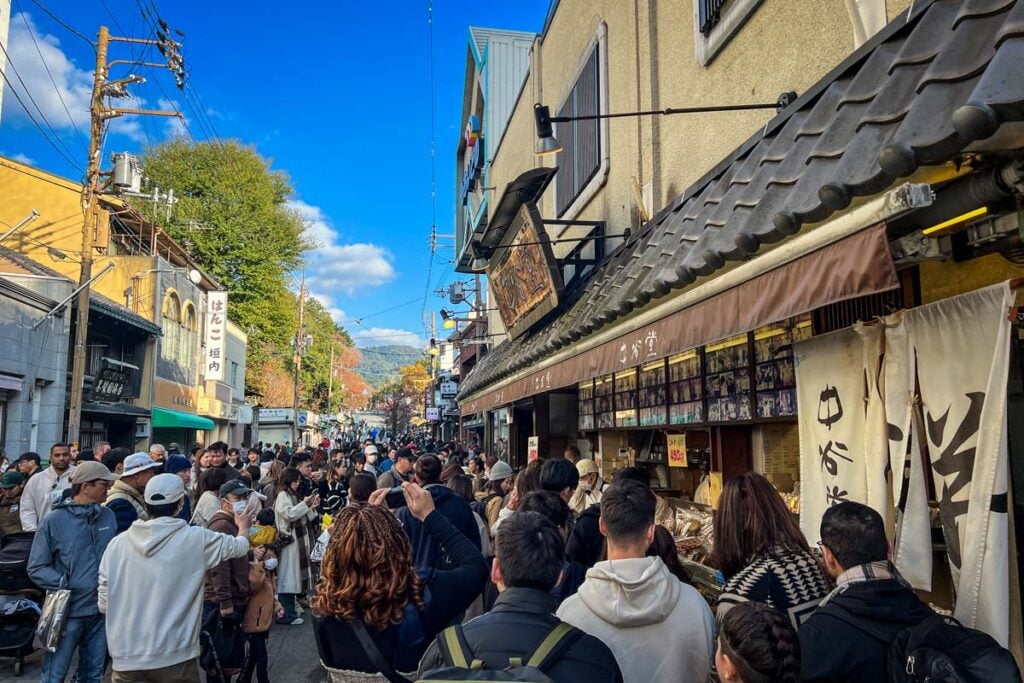 Nara Japan