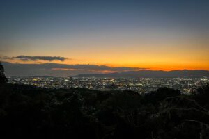 View From Mount Inari Fushimi Inari Shrine: Ultimate Guide for Visiting in 2024 | Two ...