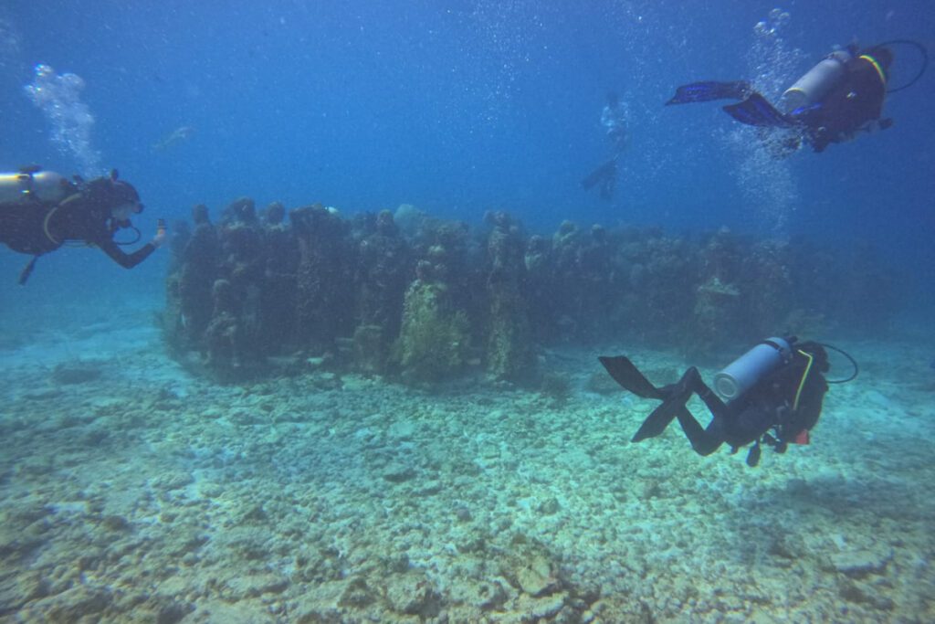 MUSA Cancun Underwater Museum diving in Mexico