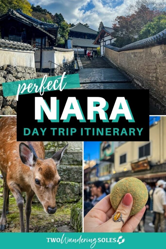 Nara day trip (Pin D)