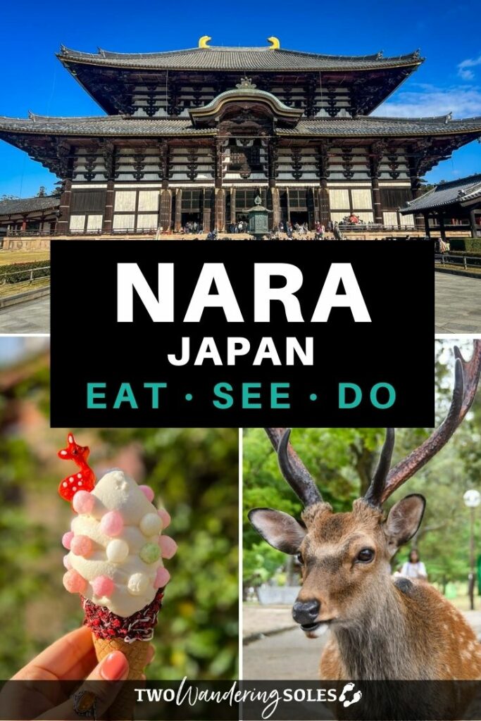 Nara day trip (Pin E)