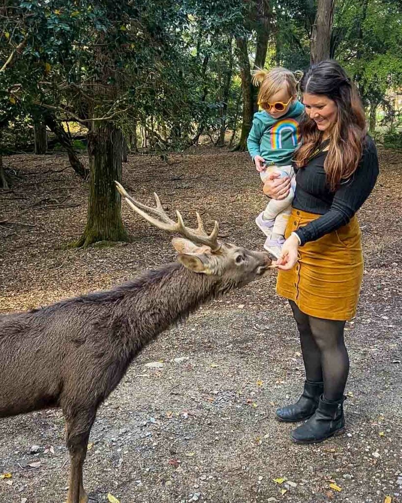 Nara Deer Park Japan