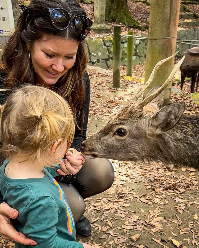 Nara Deer Park Japan