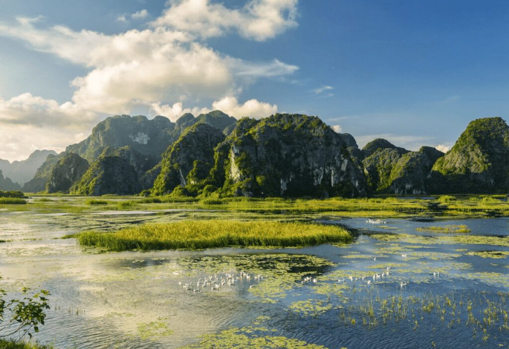 Van Long Nature Reserve, Ninh Binh, Vietnam