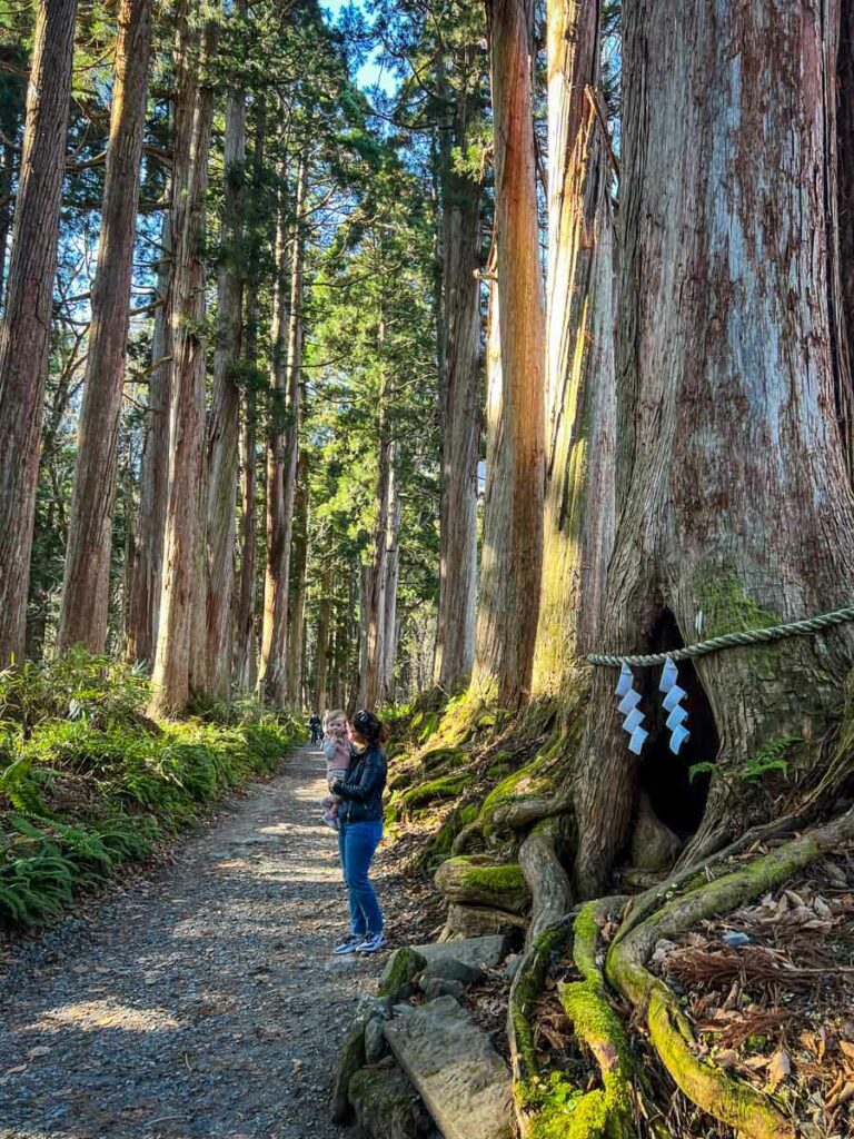 Togakushi 5 Shrines Walk Japan