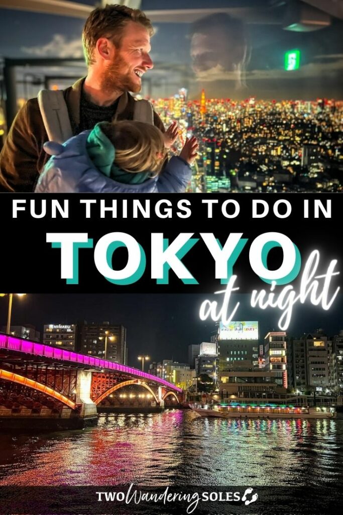 Tokyo at night (Pin D)