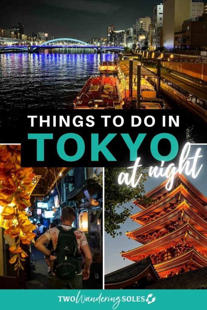 Tokyo at night (Pin E)