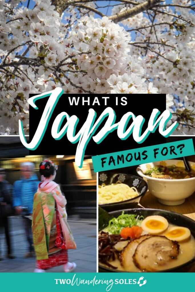 What is Japan famous for (Pin D)