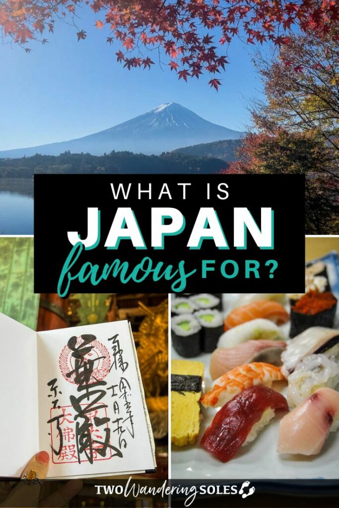 What is Japan famous for (Pin E)